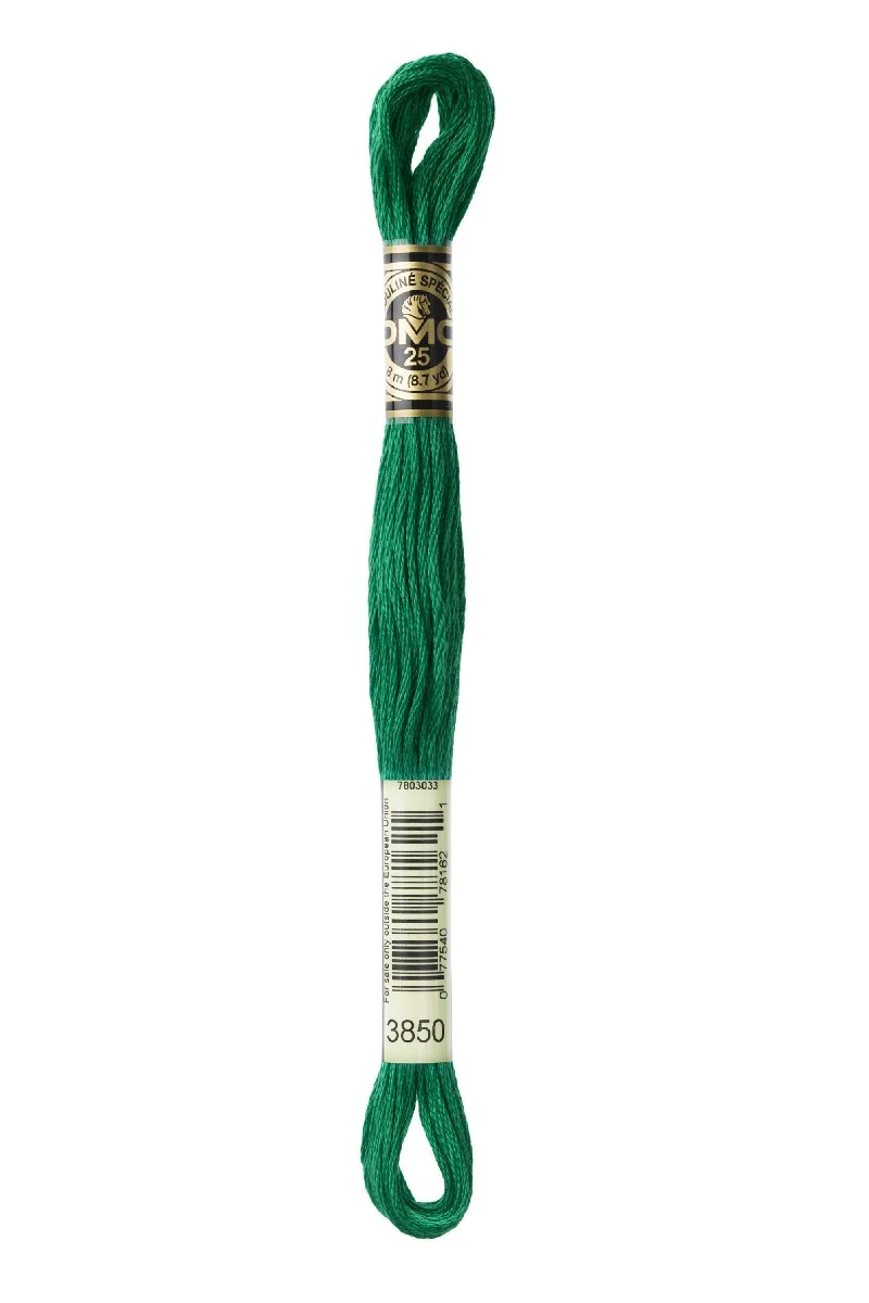 DMC Mouliné Spécial - 3850