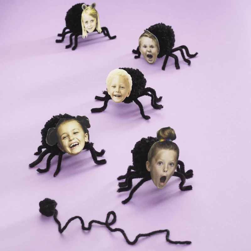 schattige spinnetjes