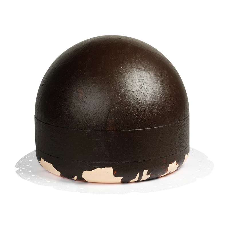 een bossche bol