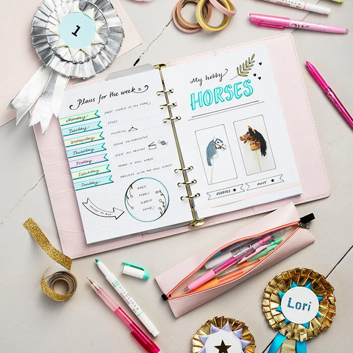 hobby horse bullet journal entry