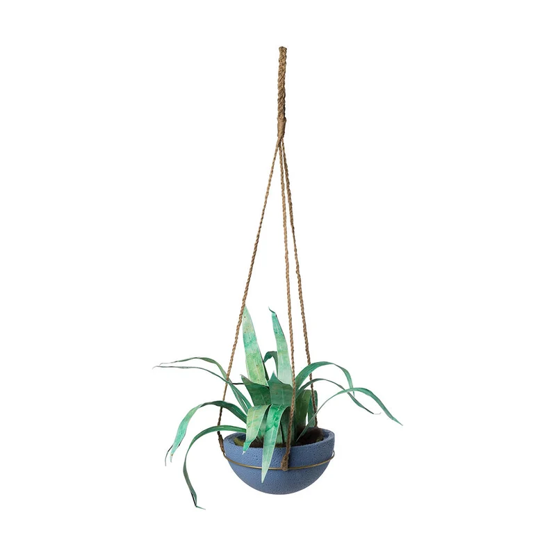 een hangplant
