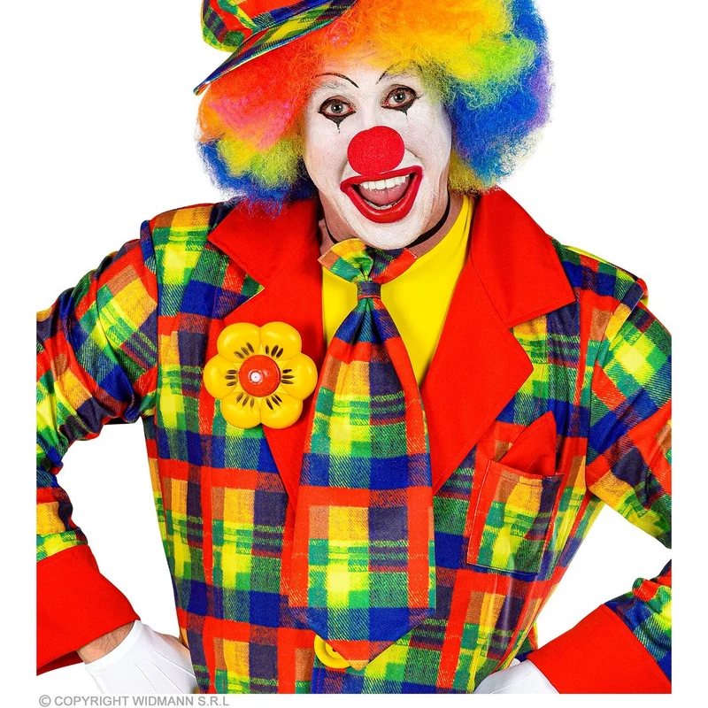 Vrolijke Stropdas Clown Geblokt