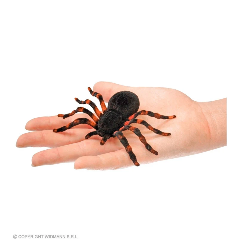 Set Van 4 Gevlekte Tarantulas