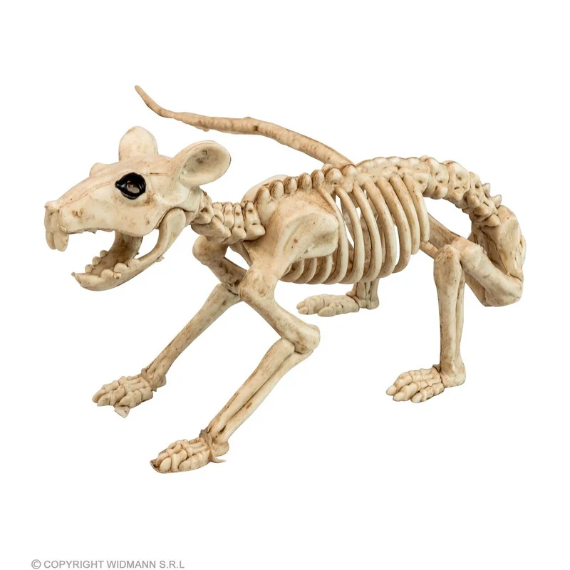 Decoratie Skelet Rat