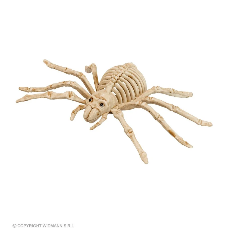 Decoratie Skelet Spin