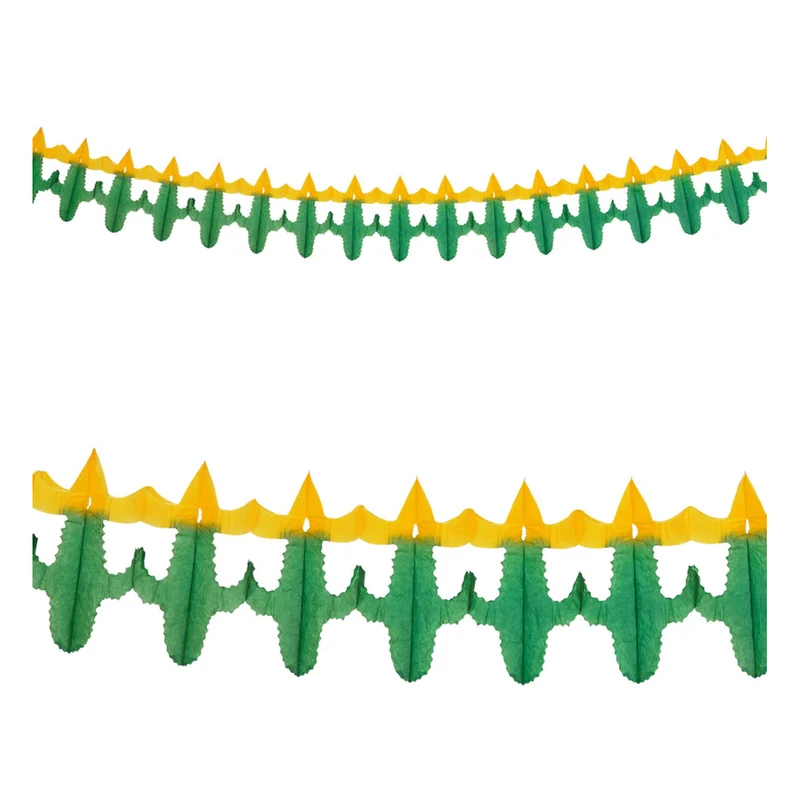 Mexicaanse Slinger Cactus 3 Meter