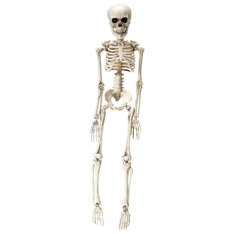 Bungelend Geraamte 50 Centimeter