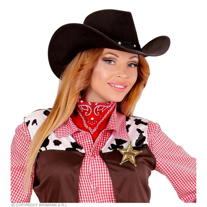 Nieuwe Sheriff Van De Stad Ster