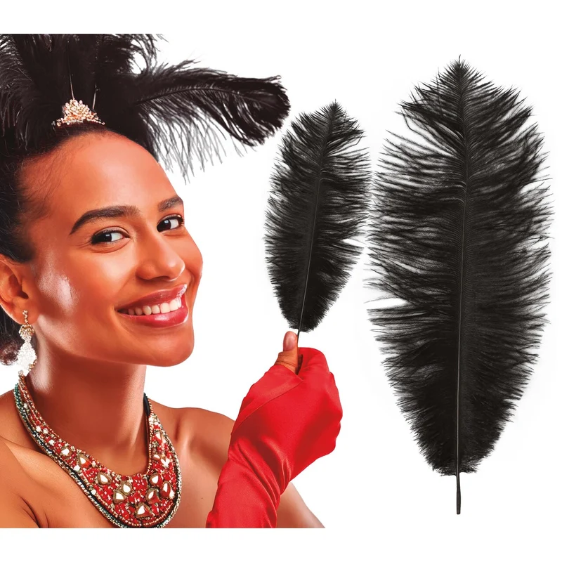 Burlesque Showgirl Pluimen Zwart 12 Stuks