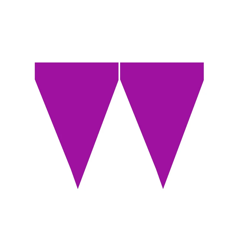 Purple Party Vlaggenlijn 9 Wimpels 3 Meter