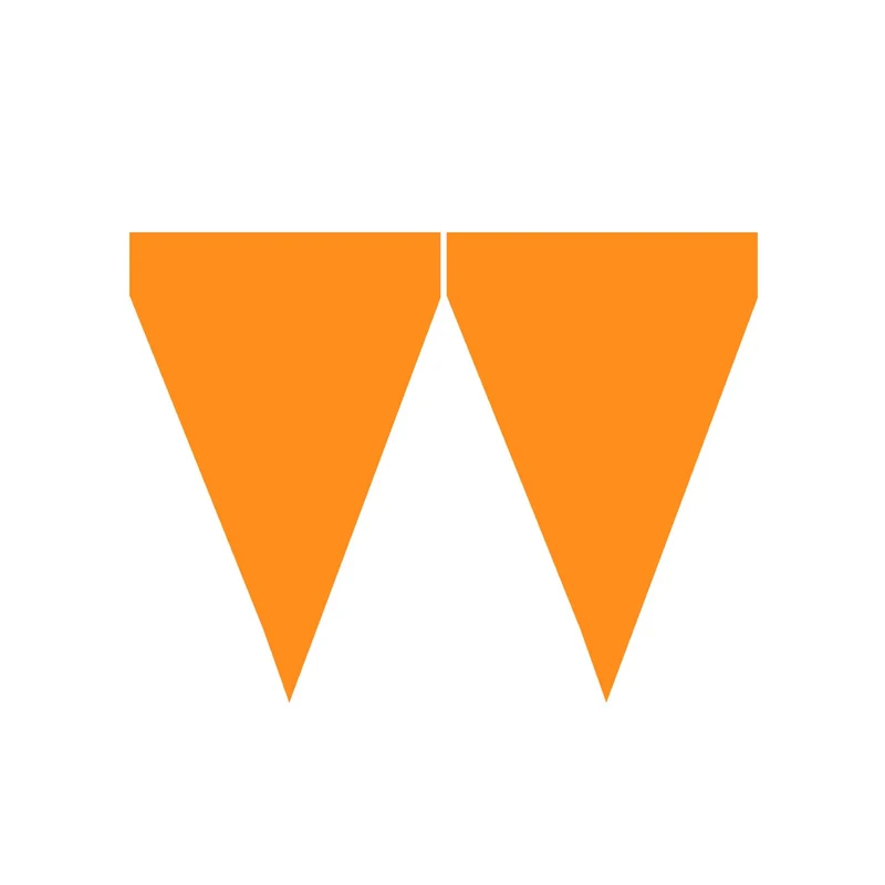 Oranje Feest Vlaggetjes 9 Wimpels 3 Meter