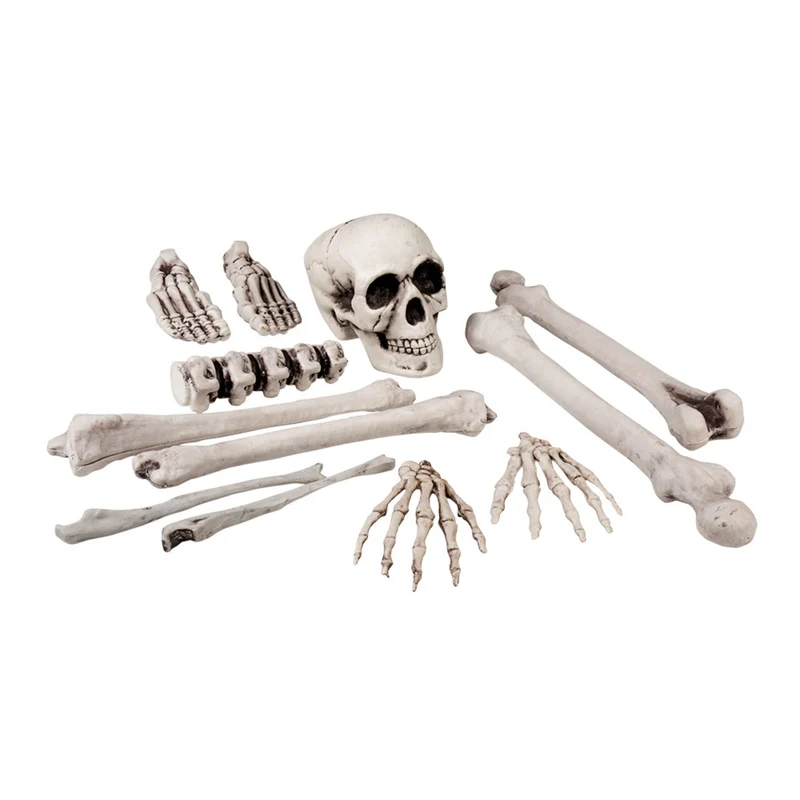 Skelet Set 12 Stuks