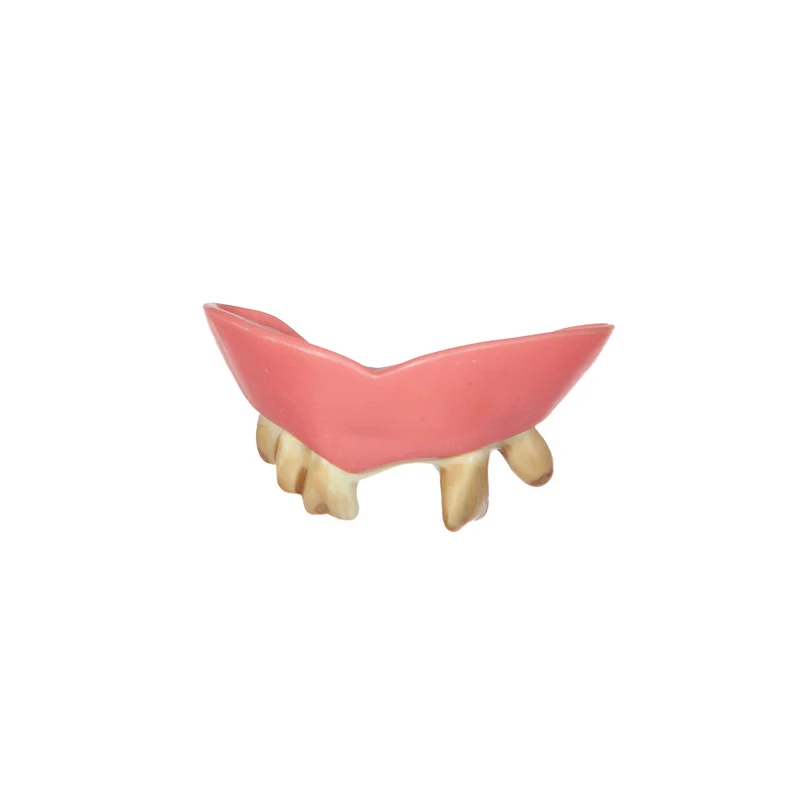 Nooit Gepoetst Gebit