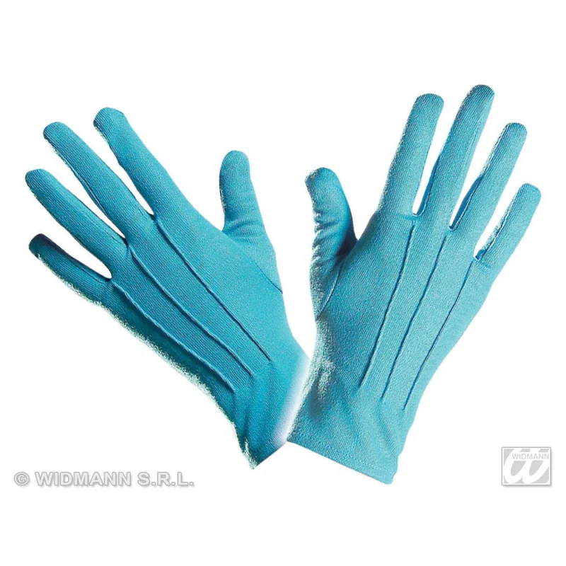 Handschoenen Blauw